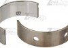 Вкладыши кор STD- B 1шейка NF 2.4/MGN III 2.0i(NO COLOR) 21020-2G020