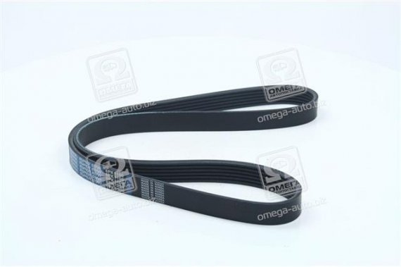 6PK1100 DONGIL Ремень генер Nissan Almera 11920-9F615