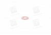 Прокладка, корпус форсунки; Уплотнительное кольцо, шахта форсунки BOSCH F 00V P01 004