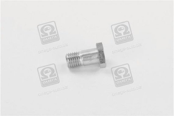 1 463 456 344 BOSCH Винт пустотелый FIAT; IVECO; MAN; RENAULT; VOLVO (пр-во Bosch)