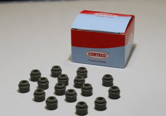 Сальники клапанів (к-т) Комплект прокладок, стержень клапана 19036118