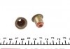 157.560 ELRING (Germany) Уплотнительное кольцо, стержень клапана ELRING (фото 2)