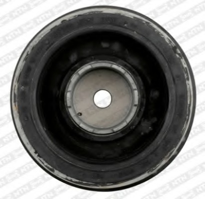 DPF350.01 SNR Ременный шкив, коленчатый вал SNR