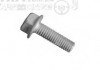 Болт (пр-во Mobis) 1140506206K