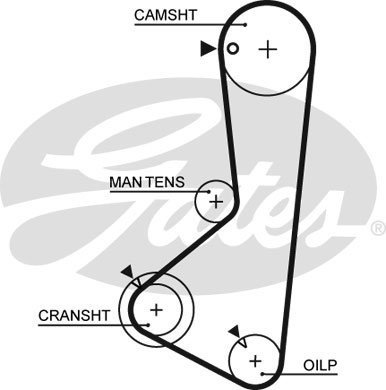 5256 XS GATES Ремень ГРМ Gates