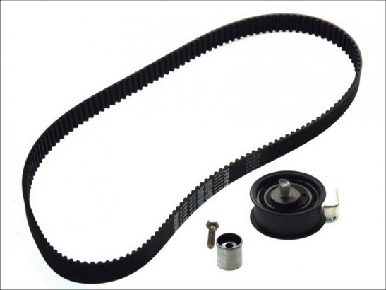 VKMA 01008 SKF Роликовий модуль натягувача ременя (ролик, ремінь) VKMA 01008 SKF