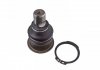 ADA108609 BLUE PRINT Опора кульова CHRYSLER: NEON 2.0 16V 94-00, NEON II 1.6, 2.0 16V, 2.0 16V R, T 99 -, PT CRUISER 1.6, ADA108609 BLUE PRINT (фото 2)