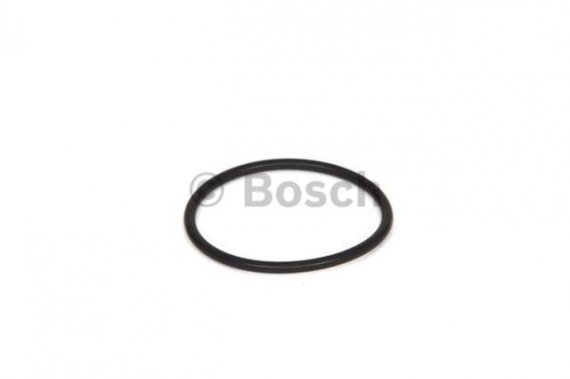 2700210031 BOSCH Уплотнительное кольцо (пр-во Bosch)