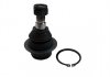 71482ASAM_опора шаровая нижняя! \ Ford Transit/Tourneo 00> 71482 ASAM