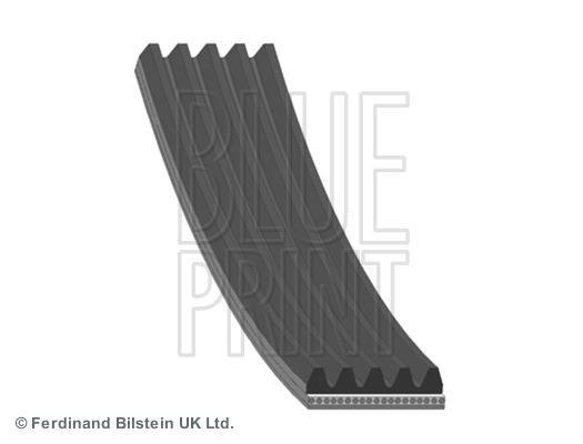 AD05R1065 BLUE PRINT Ремінь привода вспомогательных агрегатов AD05R1065 BLUE PRINT