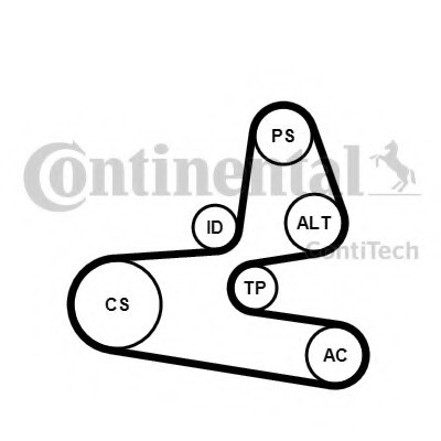 6PK1564K1 CONTINENTAL (Германия) Комплект поликлинового ремня 6PK1564K1 CONTITECH