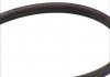 3PK977ELAST CONTINENTAL (Германия) Ремень поликлиновой 3PK977ELAST CONTITECH (фото 2)