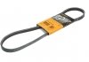 Ремінь поліклінової 4PK924ELAST CONTITECH