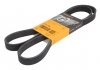 Ремінь поліклінової 6PK1486 CONTITECH