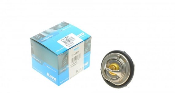 Термостат TH-7501 KAVO