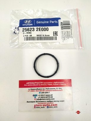 256232e000 Кільце ущільнювач 256232E000
