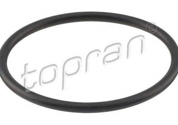 101117 TOPRAN (Germany) Прокладка (термостат)