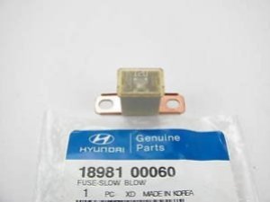 1898100060 Запобіжник(120A : C TYPE) * KIA HYUNDAI 1898100060