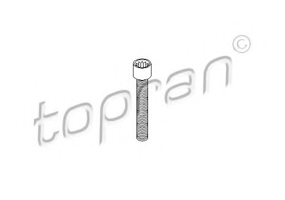 104306 TOPRAN (Germany) Болт кріплення ШРУСа