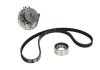 Комплект ременя ГРМ VKMC022101 SKF