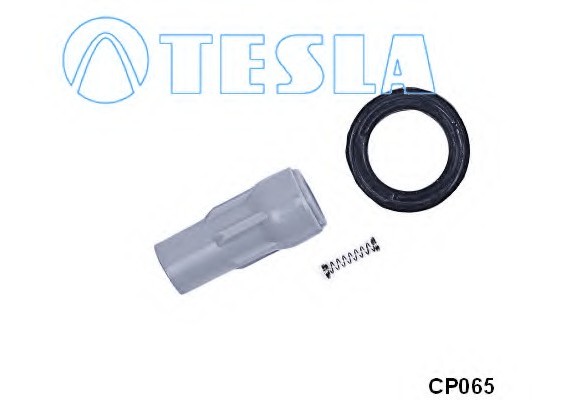 CP065 TESLA (Чехия) Вилка, катушка зажигания TESLA