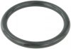 Прокладка дроссельной заслонки RINGAH-009 FEBEST