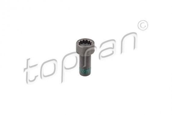 117243 TOPRAN (Germany) Болт крепления маховика
