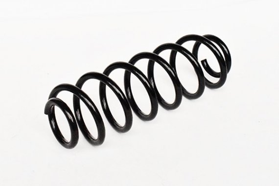 73801 ASAM Пружина задняя SKODA OCTAVIA II (1Z3) 1.9 TDI (73801) Asam