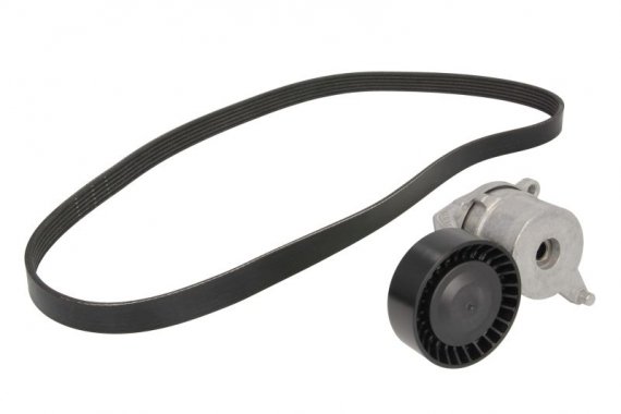 529 0262 10 INA (Germany) Комплект полікліновий (ремінь+ролики))) INA