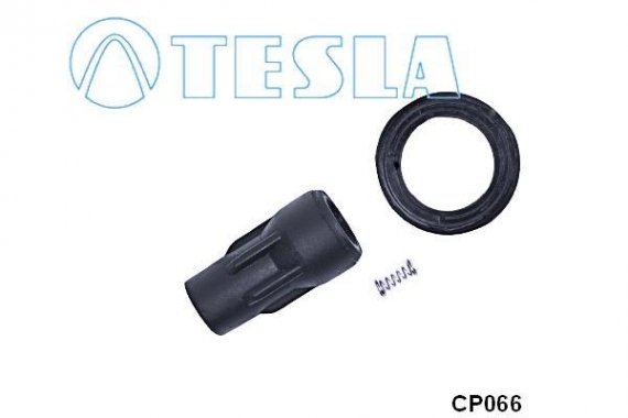 CP066 TESLA (Чехия) Вилка, катушка зажигания TESLA