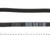 6PK888 DAYCO Ремень поликлин. AUDI, FIAT (выр-во DAYCO) (фото 2)
