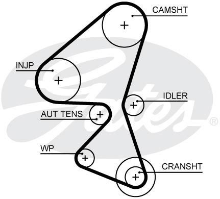 5688XS GATES Ремень ГРМ GATES