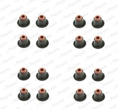 HR5086 PAYEN Сальник клапана (компл.) BMW N42/N46 (16PCS) (вир-во Payen)