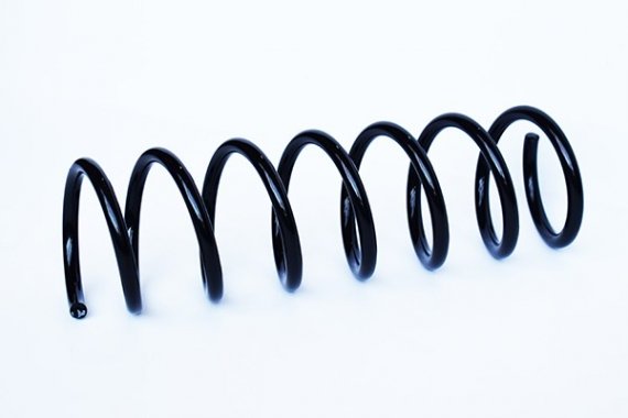 Фото пружина задняя Ford Focus II (DA; HCP) 1.6 (73807) Asam 73807 ASAM 73807 ASAM Пружина задняя Ford Focus II (DA; HCP) 1.6 (73807) Asam