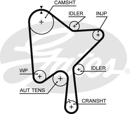 K015686XS GATES Комплект ременя ГРМ